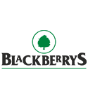 Home black berrys